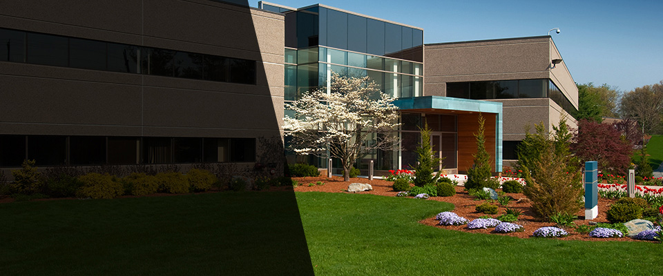 Irvington Landscapers