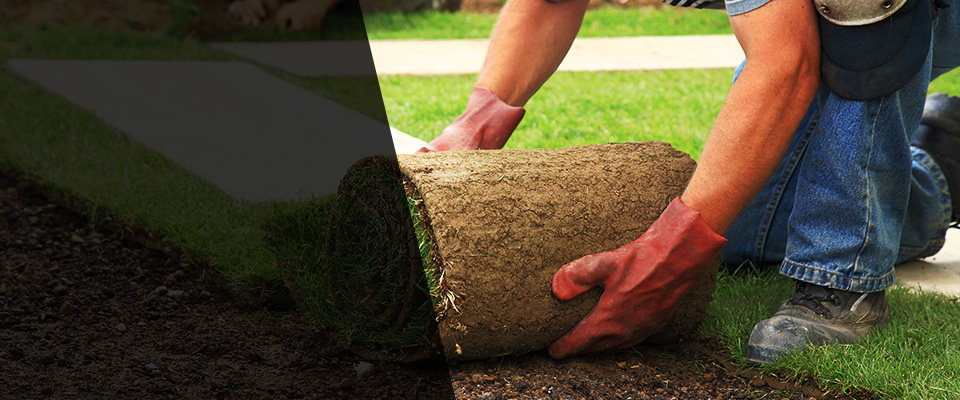 Irvington Landscapers